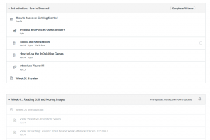 Screen capture of how to success module including syllabus, ebook, tool info, and introductions.
